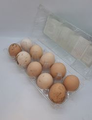 Kənd yumurtası \  Деревенское яйцо \ Village egg (10 ədəd)