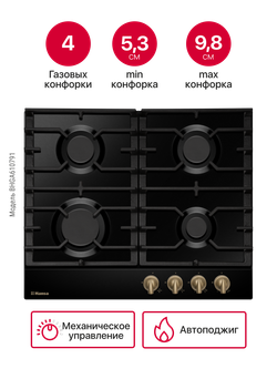 Газовая панель Hansa BHGA610791