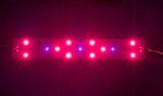 Фитолампа для растений LED Booster Line Osram 600 nm + UV 385 nm / 20W