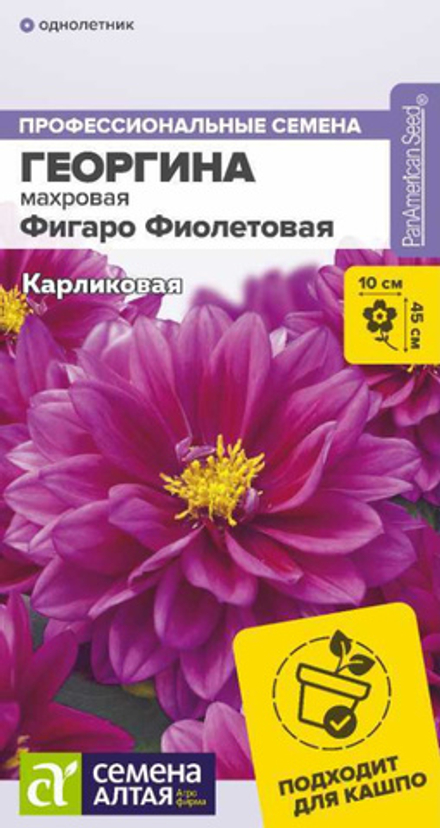 Георгина Фигаро Фиолетовая махровая/Сем Алт/цп 5 шт.