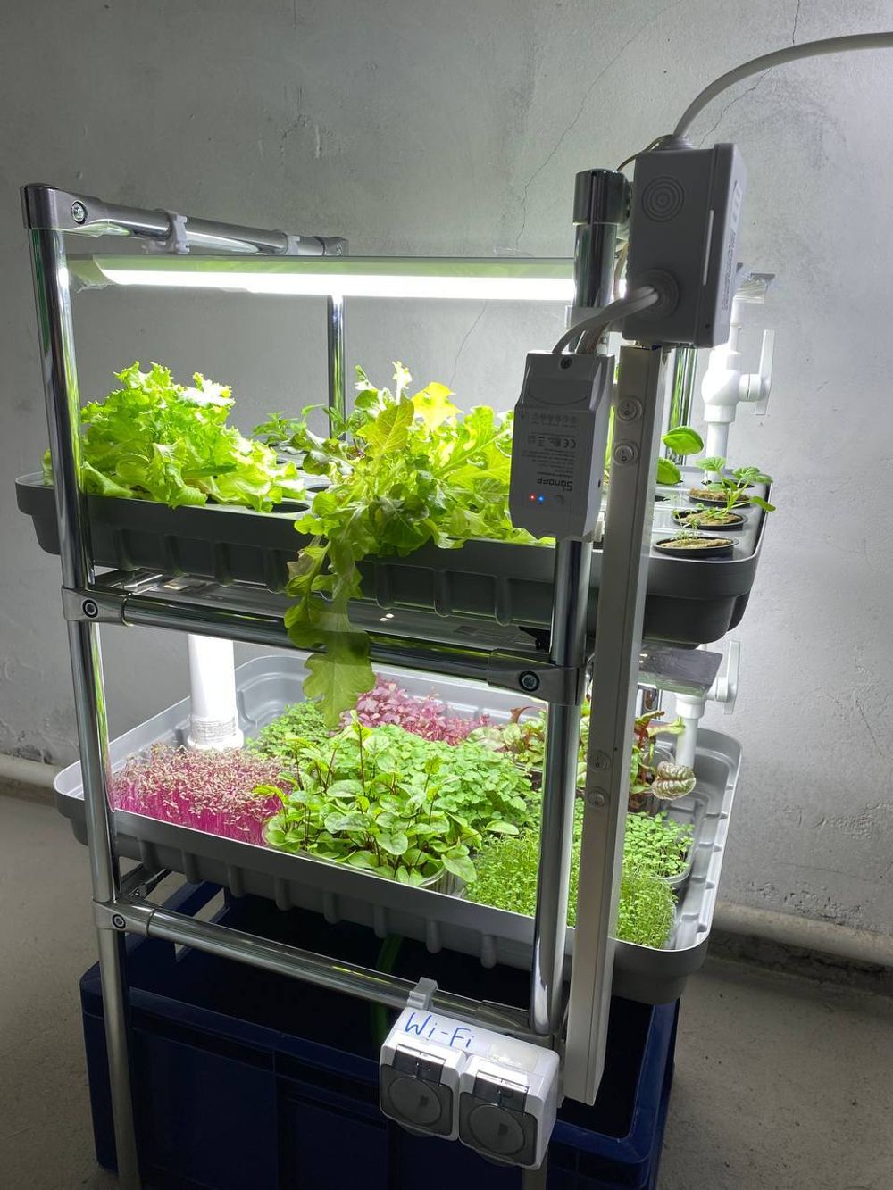 Домашняя гидропонная установка HydroBoss Mini