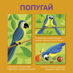 Мои домашние животные