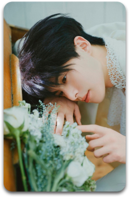Карта #2672 / Dylan Wang
