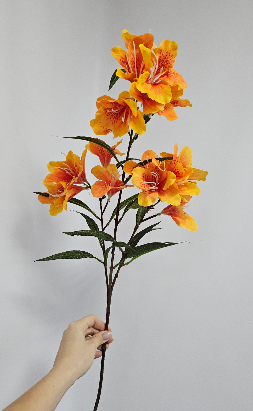 Альстромерия / Арт 2570