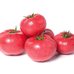 Херсонес F1 семена томата индетерминантного (Гавриш)