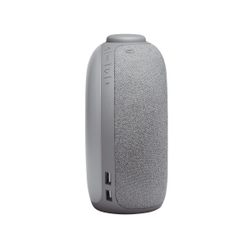 Портативная колонка JBL Horizon 2 Grey