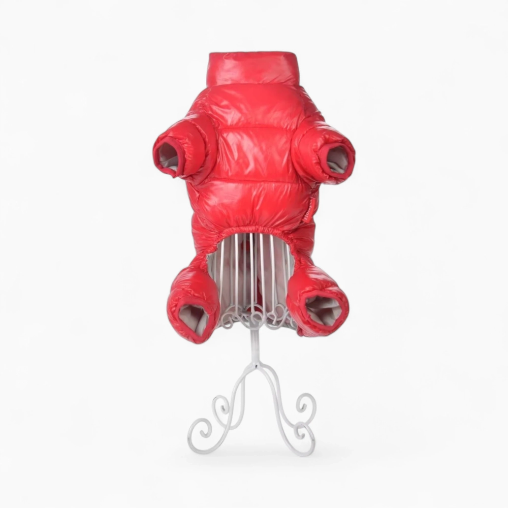 Комбинезон «Winter Style»