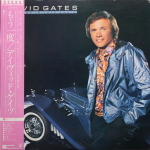 David Gates / Falling In Love Again (LP)