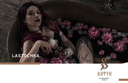 Satyr - Lastochka (100g)