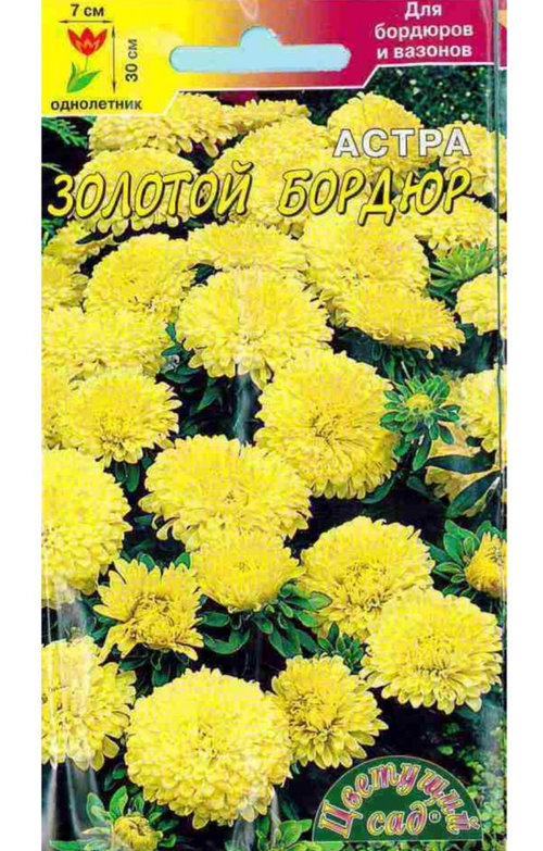 Астра Бордюр золотой 0,2 г низк. СМЦ-401