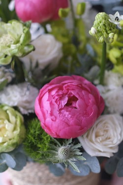 Корзина с тропическими орхидеями, розами Вегги и пионами Корал Шарм