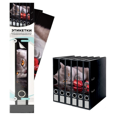 Этикетки самоклеящиеся для папок-регистраторов с корешком 5 см, размер 40x245 мм, 6 шт. в наборе