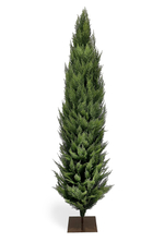 Туя искусственная Западная (Можжевельник)