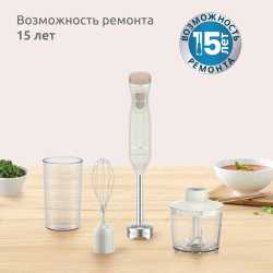 Погружной блендер Moulinex DD523AF0