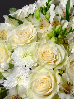 Чистые эмоции *