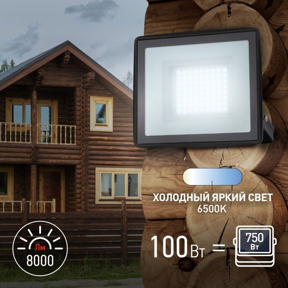 Прожектор светодиодный, Эра, LPR-023-0-65K-100, 100 Вт, 6500 К, IP65, 8000 Лм, Б0052026