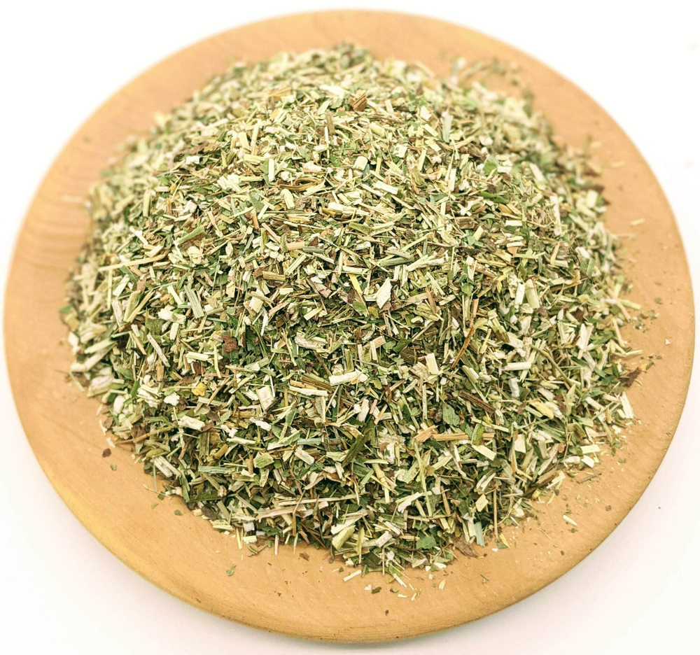 Золотарник (золотая розга)