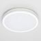 Настенно-потолочный светодиодный светильник Citilux Luns CL711020V