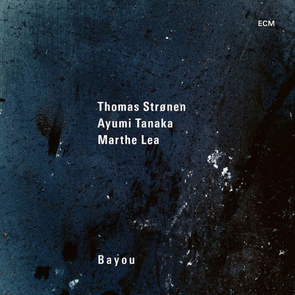 Thomas Stronen Trio / Bayou (CD)