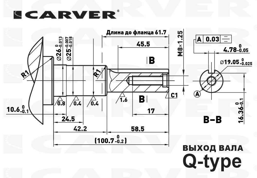 Двигатель бензиновый Carver EX210