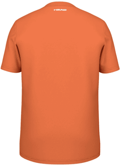 Футболка мужская Head Rainbow T-Shirt, арт. 811435-CN