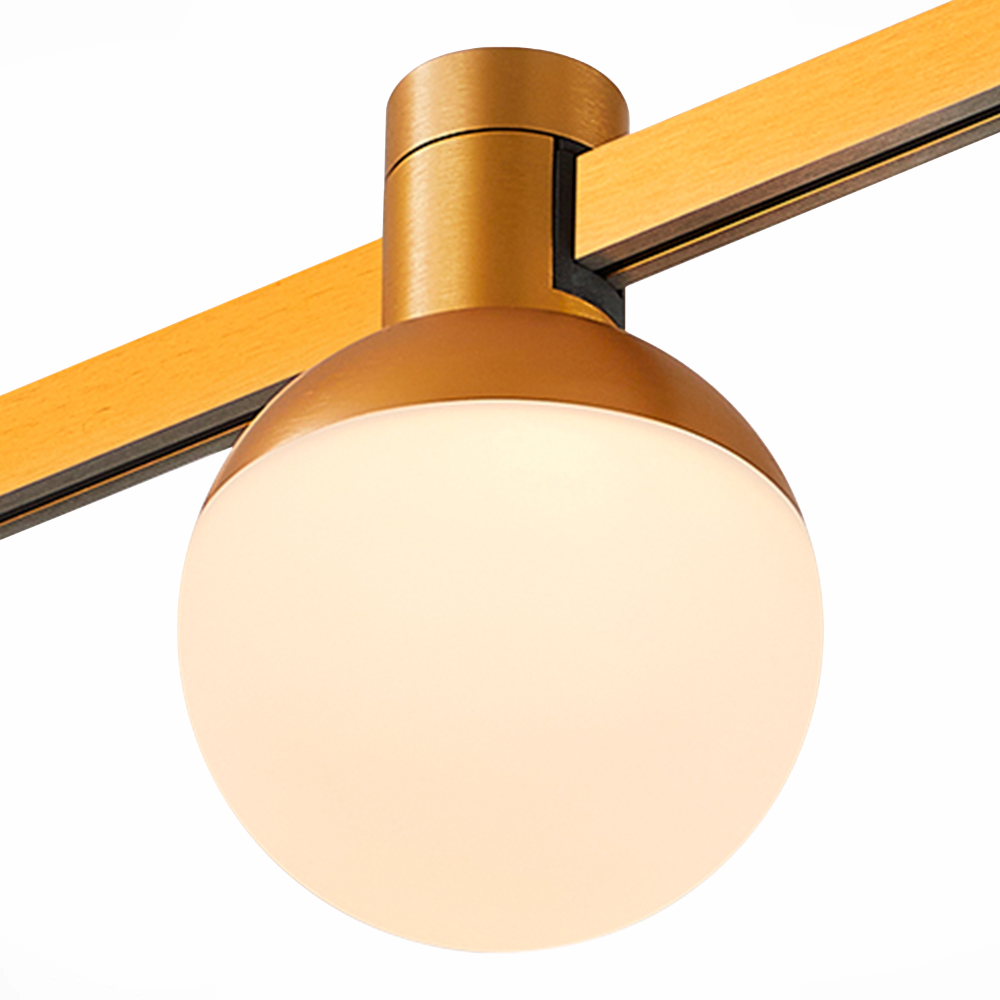 Магнитный трековый светильник ST Luce FARM ST815.206.05, 5W 3000K