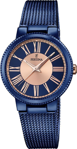 Часы Festina F16967/1