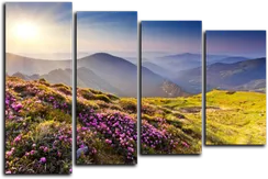 Модульная картина "Цветочный луг"