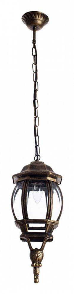 Уличный подвесной светильник Arte Lamp A1045SO-1BN