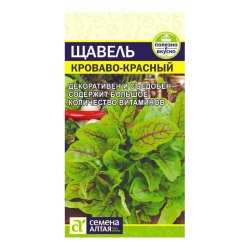 ЩАВЕЛЬ