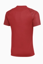 Футболка Nike Dri-FIT Academy II - красный