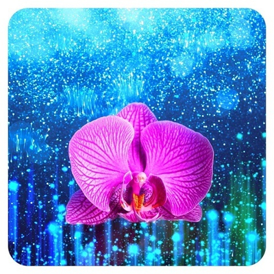 Практический Интенсив «Мастерство Регенерации и Изобилия». Часть 21