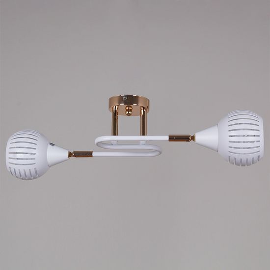 70059-3.3-02 FG+WH светильник потолочный