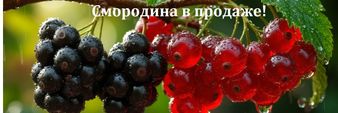 Заголовок