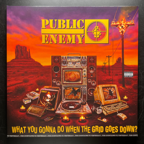 Public Enemy ‎– What You Gonna Do When The Grid Goes Down? (Европа 2020г.)