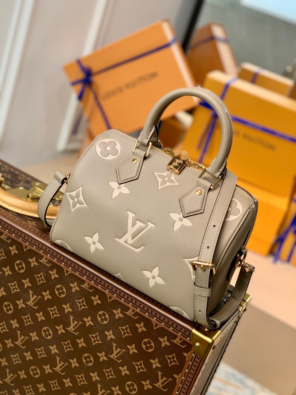 Louis Vuitton Speedy 25