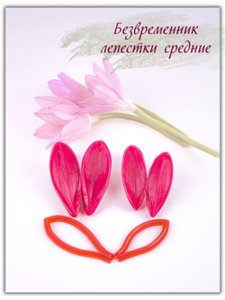 Безвременник. Лепестки средние