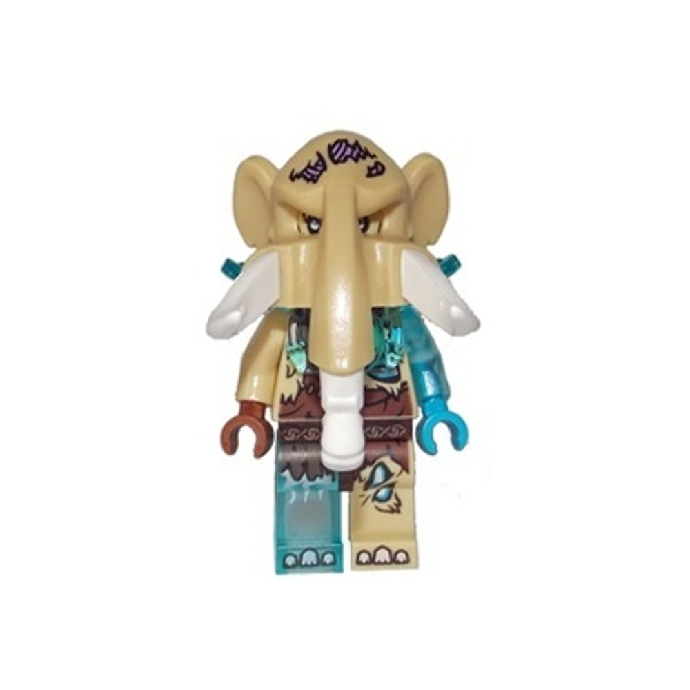 Моттрот loc084