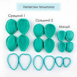 Тюльпан средний 2