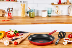 Набор сковород Tefal Daily Chef 2 предмета 22/28см G2739072