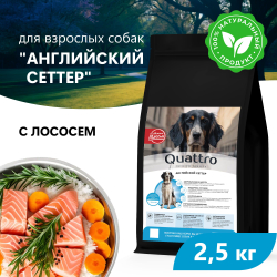 Корм сухой для взрослых собак породы Английский сеттер, премиум полнорационный комплекс, с лососем, 2,5 кг, QUATTRO