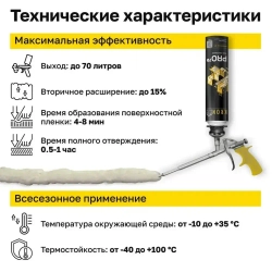 Пена монтажная профессиональная всесезонная KRONbuild Pro 70