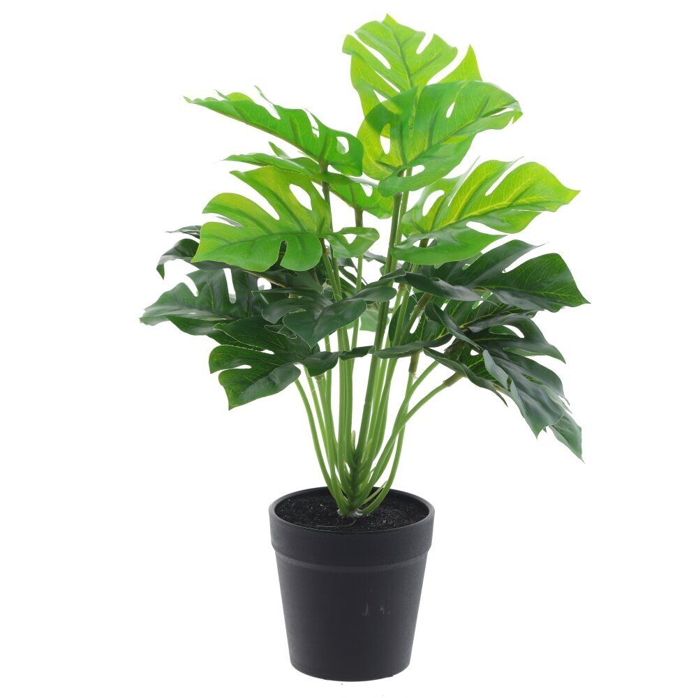 GAEM Цветочная композиция "Монстера", L33 W33 H35 см