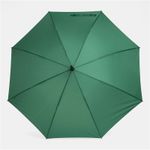 Зонт-трость WIND Зелёный