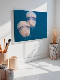 Картина на стену 40 X 50 Медузы