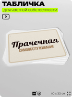 Табличка для прачечных и стирки "Прачечная, самообслуживание", для бытовых помещений и организаций, информационная, 40х30 см, Silver Plane x Айдентика Технолоджи