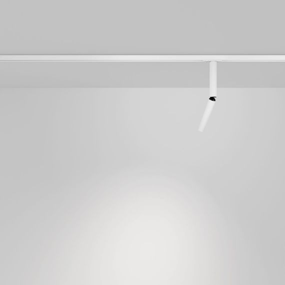 Трековый светодиодный светильник Maytoni Technical Focus T TR142-1-6W4K-W