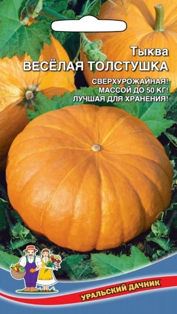 Тыква &quot;Веселая Толстушка&quot; 6шт, Россия.