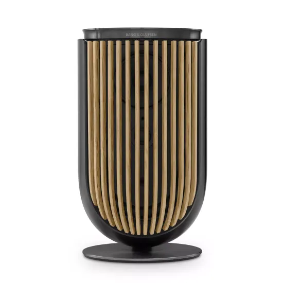 Bang & Olufsen Beolab 8 Black Anthracite/Oak, TS