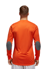 Вратарская кофта adidas Assita 17 GK Детская